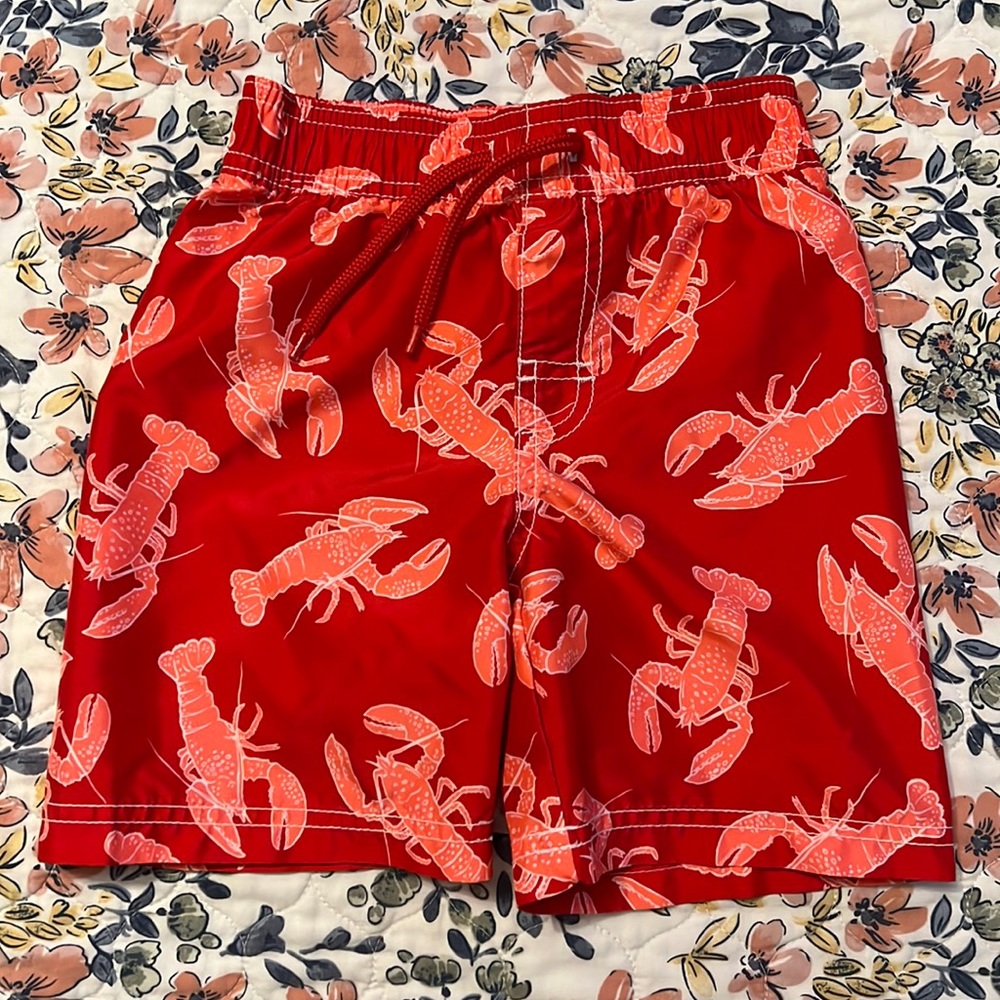 Toddler Boy Swim Trunks